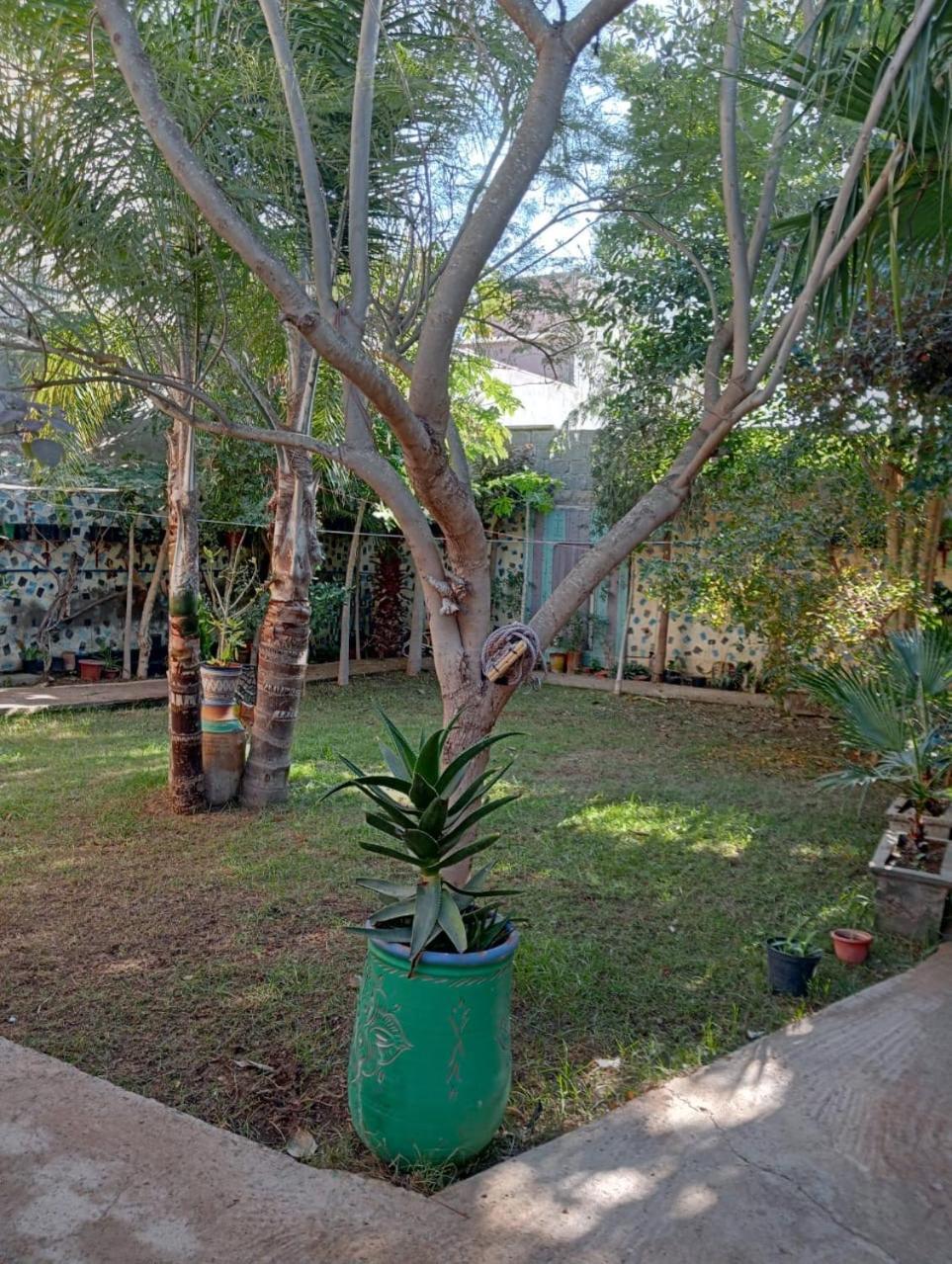 Riad Targante Takate 1 Sidi Bibi Exterior photo