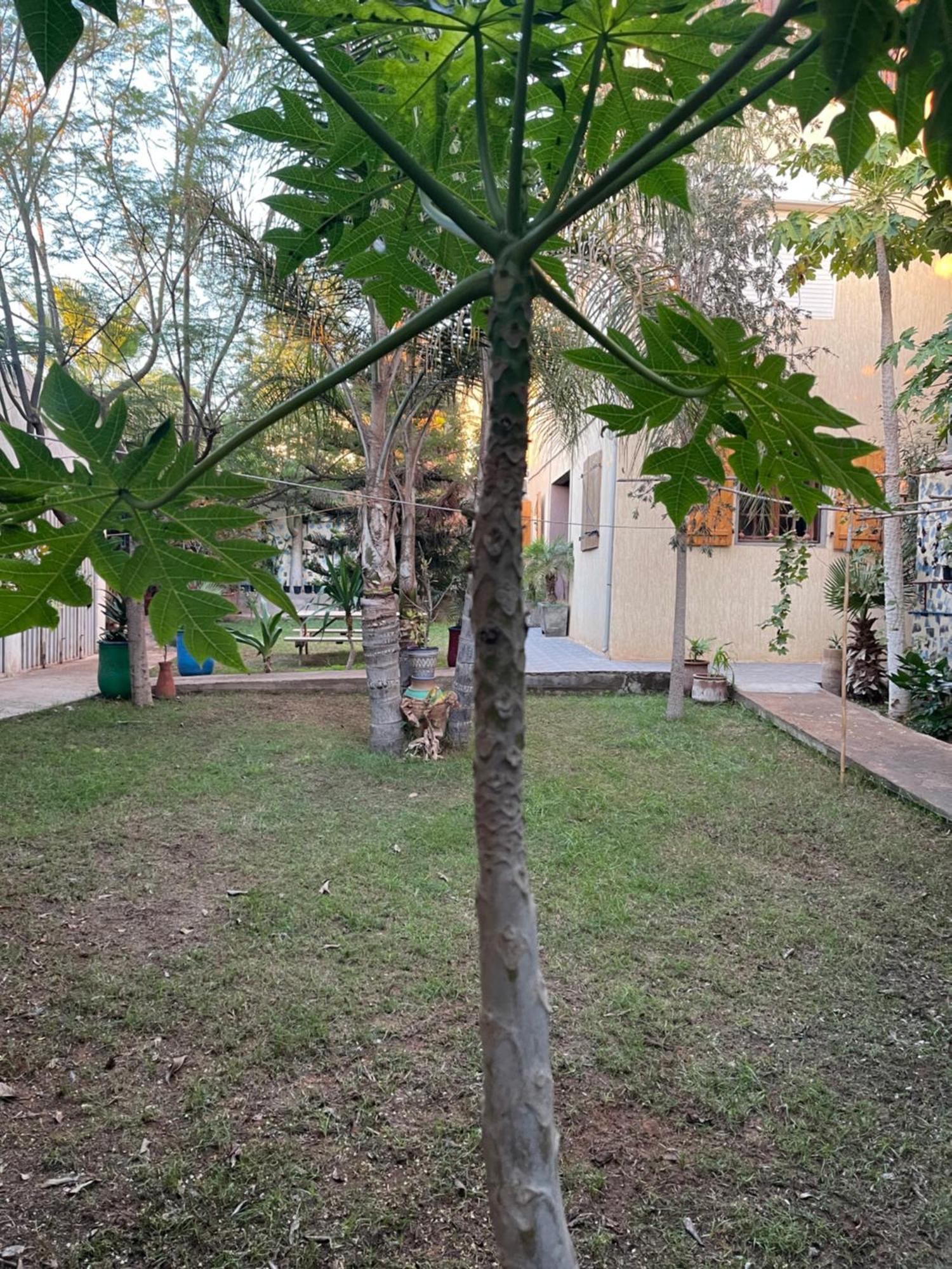 Riad Targante Takate 1 Sidi Bibi Exterior photo